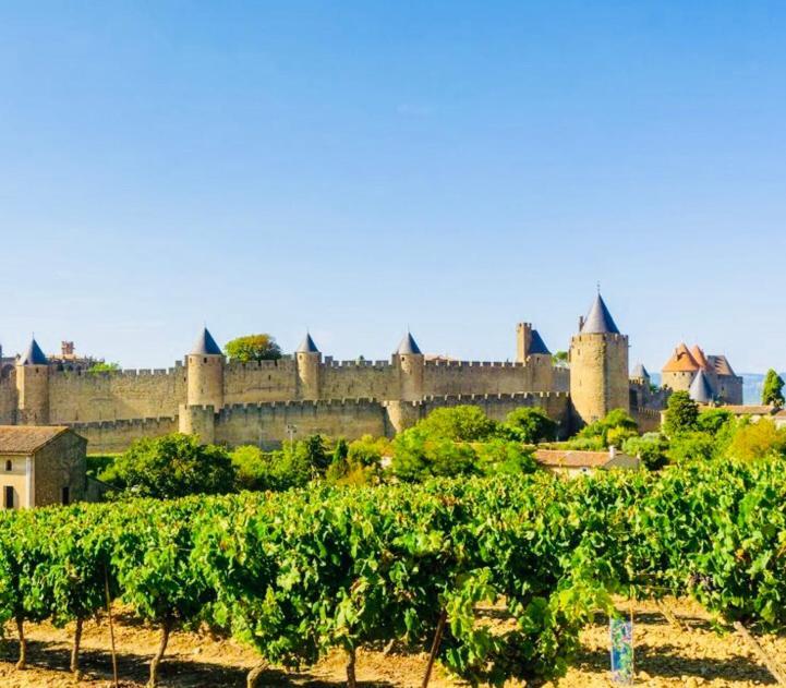 T2 Cocooning Vue Panoramique Cite Leilighet Carcassonne Eksteriør bilde